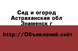  Сад и огород. Астраханская обл.,Знаменск г.